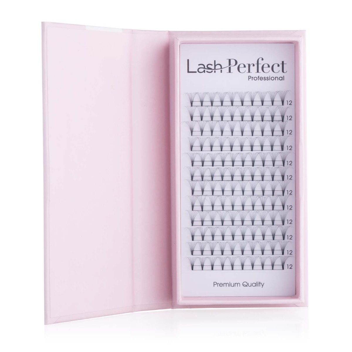 Pre Made Fans Russian Express Lash Tray B Curl 6D