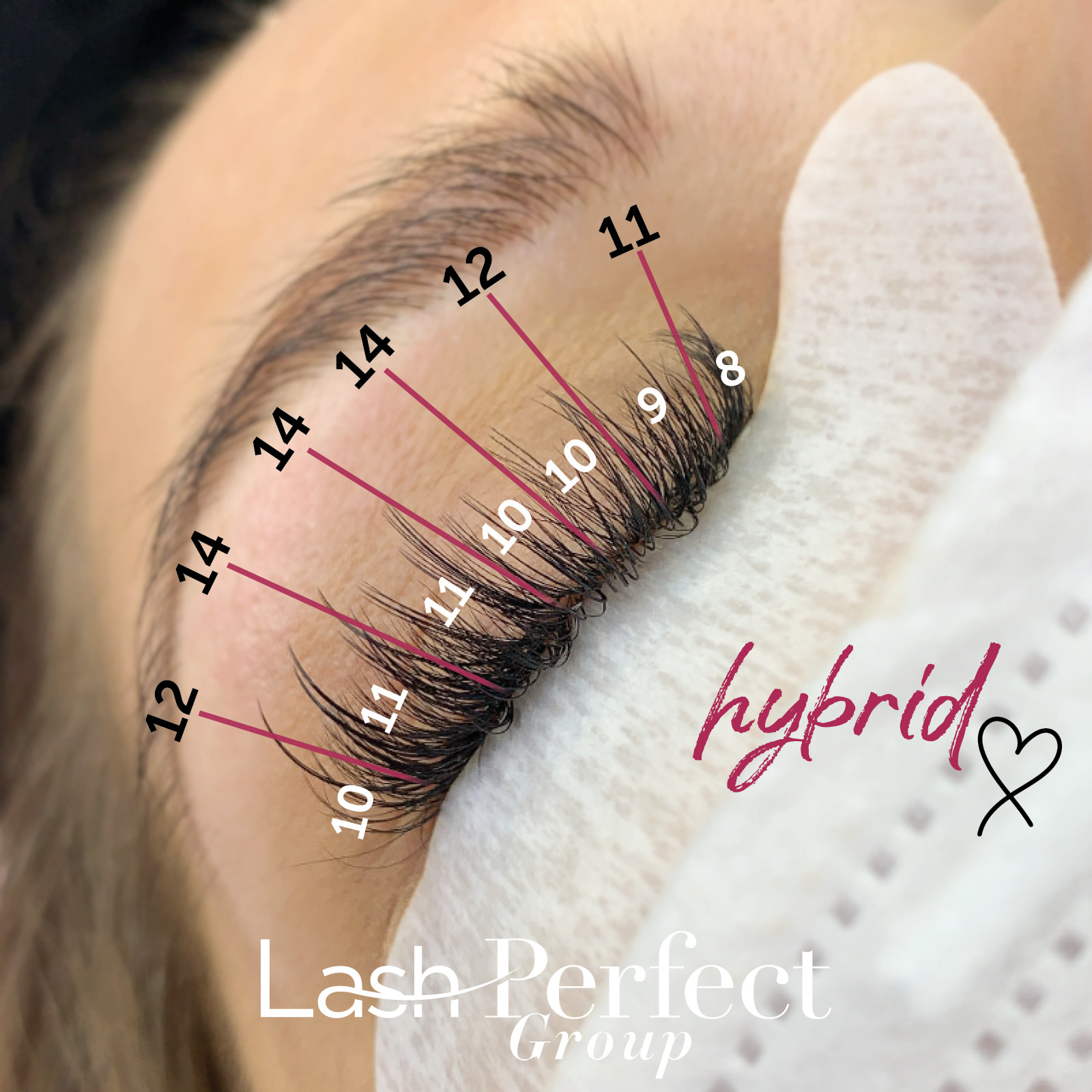 Spider Lash Map  Eyelash extensions Eyelash sets Eyelash extensions  styles